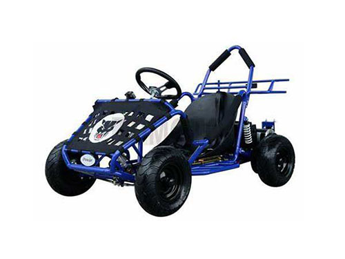 Motoren und Antriebe für Golfmobile und E-Quads